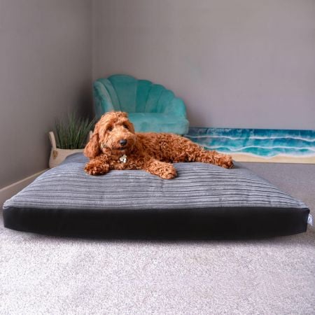 Dog Bed Jumbo Cord - Medium